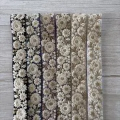 インド刺繍リボンセット（各50cm）