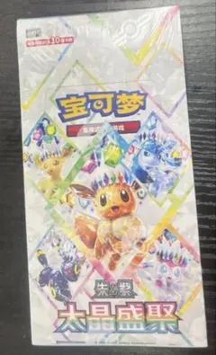 【最終値下げ】テラスタルフェスex box 中国版