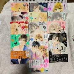 即購入❌️　僕に花のメランコリー 13　完結
