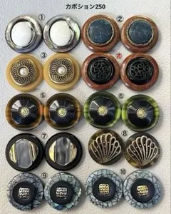 ボタンカボション250⑧ 12/10