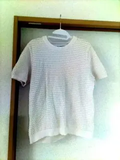 ユニクロ　イネスコラボ