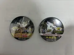 阪神タイガースイチオシ缶バッジ　2023年セリーグ優勝記念　木浪聖也サヨナラ打