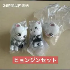 スキズ　SKZOO つまんでつなげてますこっと　ジニレット　ぷくっとリング