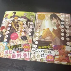 ある日、お姫様になってしまった件について 12巻 13巻