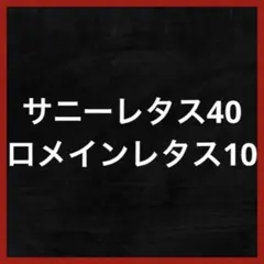 ロンデ様 リクエスト 2点 まとめ商品