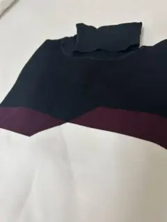 Alexander Wang ニット　ハイネックカットソーのサムネイル