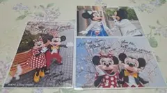 東京ディズニーリゾート ミッキー ミニー 写真セット