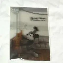 ディズニー 3Dハガキ ポストカード ミッキー 蒸気船ウィリー