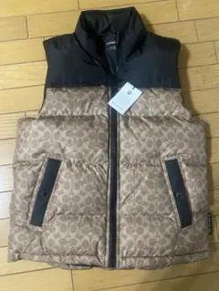 Item thumbnail for item 7b99df02-4bdd-432f-b43a-7f2f5bd0ff26