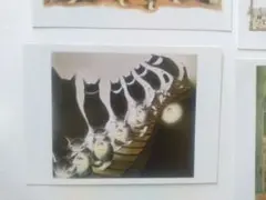 ダヤン わちふぃーるど ポストカード 6枚セット 猫 イラスト まとめ売り