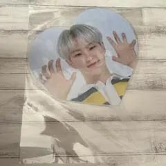 seventeen セブチ caratland ケレン ホシ うちわ