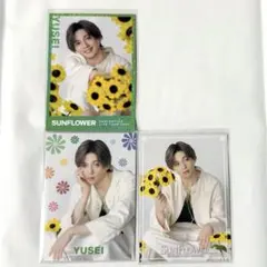 FANTASTICS 八木勇征 トレカ SUNFLOWER - メルカリ