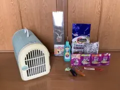 Item thumbnail for item 1f513161-aeef-405d-9952-e9fd472ce5ba