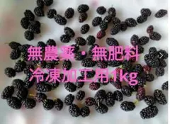 冷凍 桑の実 マルベリー 約1kg 宮城県産 無農薬・無肥料 加工用【送料込】のサムネイル
