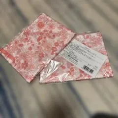 Item thumbnail for item 619eca9f-c30c-4c26-97f3-1f31003a4e91