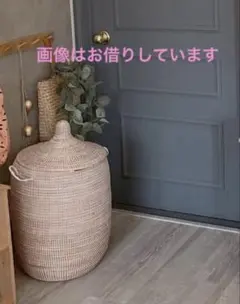 Item thumbnail for item 7a65863f-2053-430e-9e18-5f17c5396e57