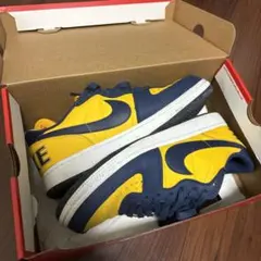 Nike Terminator Low "Michigan"のサムネイル