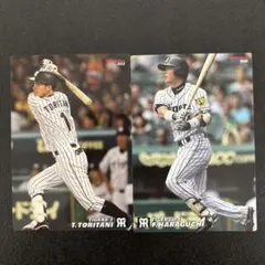 Item thumbnail for item 08a6a95f-77b7-4316-911d-84bfa44d4a52