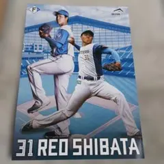 2025年最新】大谷 観戦証明書の人気アイテム - メルカリ