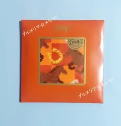 FEILER UNITED ARROWSコラボハンカチ