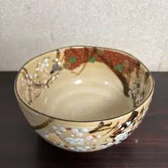紅葉デザインの皿5枚セット(本物紅葉使用) - メルカリ