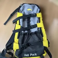 ミ*モ様 DA KINE Heli Packのサムネイル