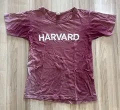 Champion ヴィンテージTシャツ トリコタグ