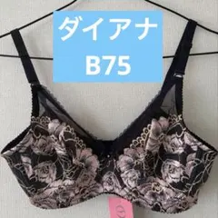 2026年最新】ダイアナ ブラジャーの人気アイテム - メルカリ