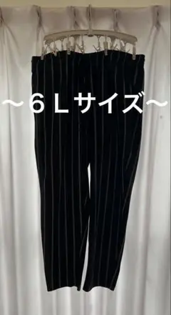 6l