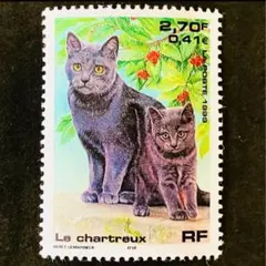 れんディ様 リクエスト 4点 まとめ商品