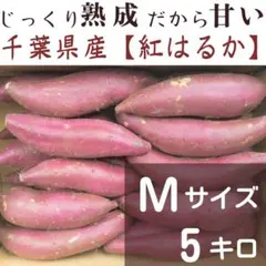 なつこ様専用 紅はるか 4ケース