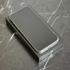 Apple iPhone 13 Pro Maxシルバー 本体