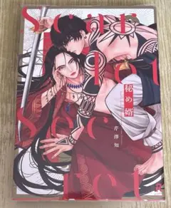 【コミックセール実施中】秘め婿　芹澤知