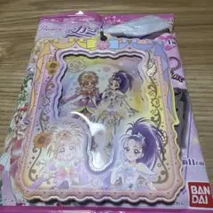 プリキュア カードホルダー スプラッシュスター 集合