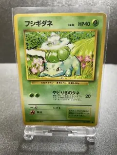 ポケモンカード 旧裏 プロモ エリカのフシギダネ - メルカリ