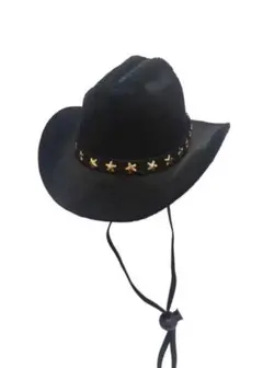 テンガロンハット　黒　15cm 20cmぬいぐるみ　ペット　犬　猫　帽子