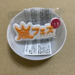 嵐 会場限定 ガチャ 歴代ツアー ロゴマグネット 2013 嵐フェス アラフェス