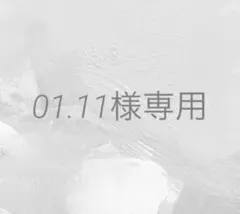 01.11様 リクエスト 3点 まとめ商品