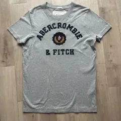 Abercrombie&Fitch アバクロ ロゴTシャツ S グレー 半袖のサムネイル