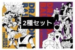 激レア】ドラゴンボール超 宇宙サバイバル編 ビジュアルアートポスター