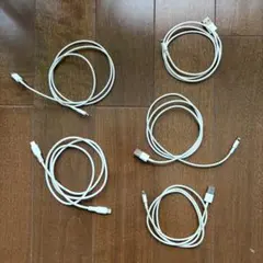 ライトニングケーブル 1m × 5本 アップル純正 他