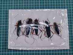 メルカリ