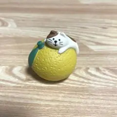 コンコンブル　子猫とゆず