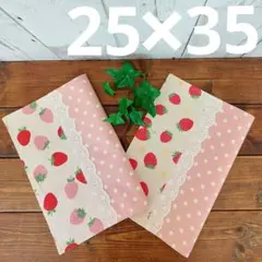 ハンドメイド　ランチョンマット　25×35 　①苺生成り色×水玉　名前テープ付き