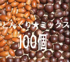 どんぐり★ミックス100個