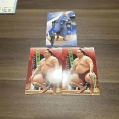 Item thumbnail for item 624ad176-614d-4bcc-ba8d-bb9a89386b21