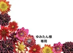 ❷ゆみたん様