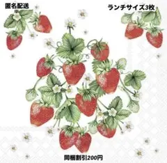 Mi様 リクエスト 2点 まとめ商品