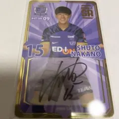 2025年最新】オンサイトカード サンフレッチェ広島の人気アイテム