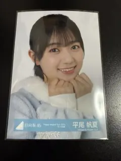 Item thumbnail for item 4744eeea-e6b5-47ed-b45b-9780271ac127